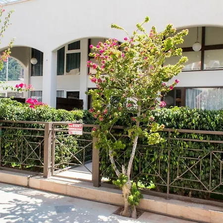 Galatex * リマソール