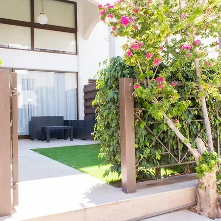 Galatex リマソール