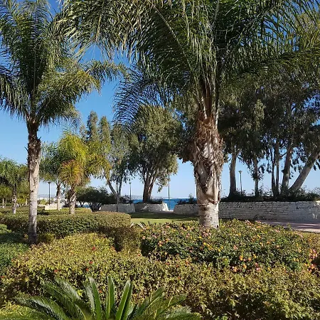 Galatex リマソール